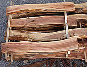Zwetschke massiv